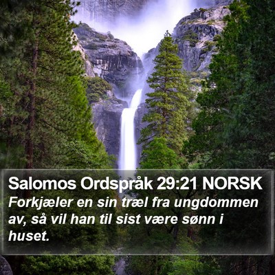 Salomos Ordspråk 29:21 NORSK Bible Verse Image