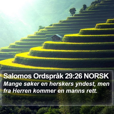 Salomos Ordspråk 29:26 NORSK Bible Verse Image