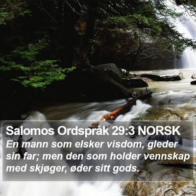 Salomos Ordspråk 29:3 NORSK Bible Verse Image