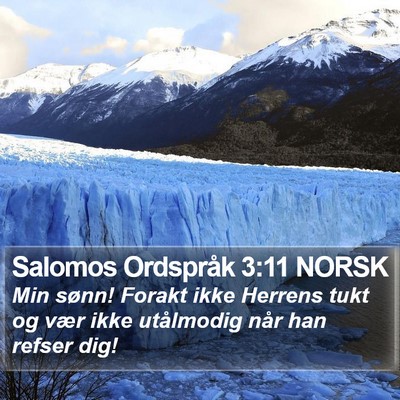 Salomos Ordspråk 3:11 NORSK Bible Verse Image