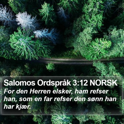 Salomos Ordspråk 3:12 NORSK Bible Verse Image