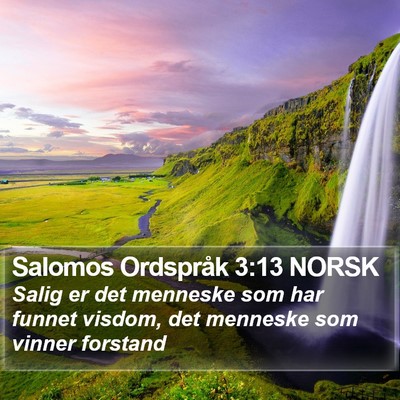 Salomos Ordspråk 3:13 NORSK Bible Verse Image