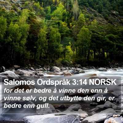 Salomos Ordspråk 3:14 NORSK Bible Verse Image