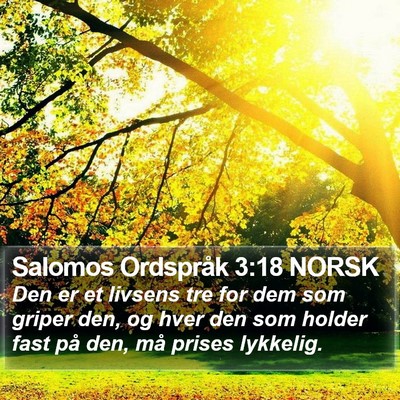 Salomos Ordspråk 3:18 NORSK Bible Verse Image