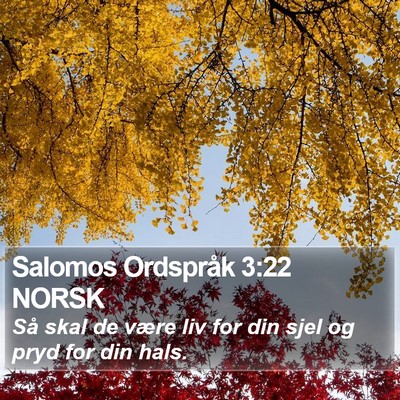 Salomos Ordspråk 3:22 NORSK Bible Verse Image