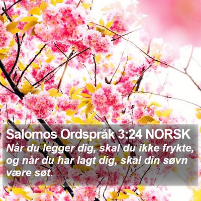 Salomos Ordspråk 3:24 NORSK Bible Verse Image
