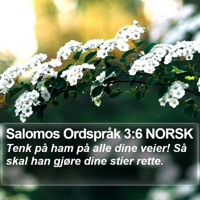 Salomos Ordspråk 3:6 NORSK Bible Verse Image