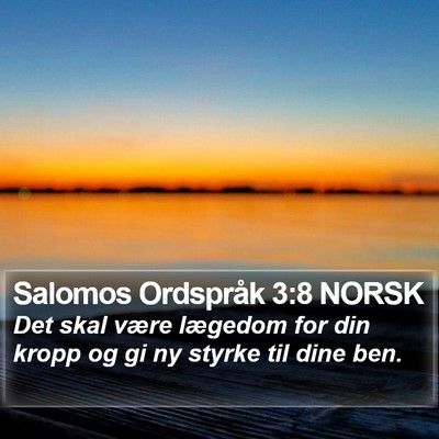 Salomos Ordspråk 3:8 NORSK Bible Verse Image