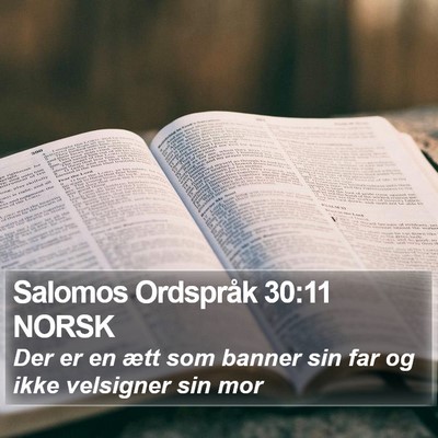 Salomos Ordspråk 30:11 NORSK Bible Verse Image
