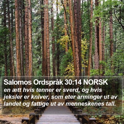 Salomos Ordspråk 30:14 NORSK Bible Verse Image