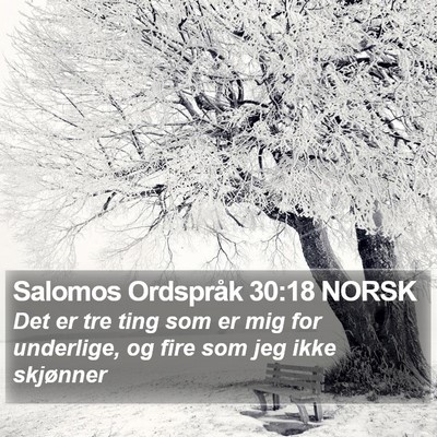 Salomos Ordspråk 30:18 NORSK Bible Verse Image