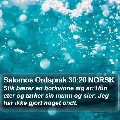 Salomos Ordspråk 30:20 NORSK Bible Verse Image