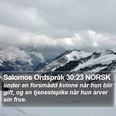 Salomos Ordspråk 30:23 NORSK Bible Verse Image