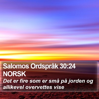 Salomos Ordspråk 30:24 NORSK Bible Verse Image