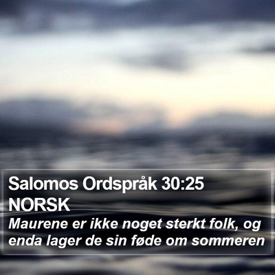 Salomos Ordspråk 30:25 NORSK Bible Verse Image