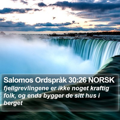 Salomos Ordspråk 30:26 NORSK Bible Verse Image