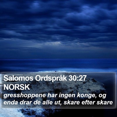 Salomos Ordspråk 30:27 NORSK Bible Verse Image
