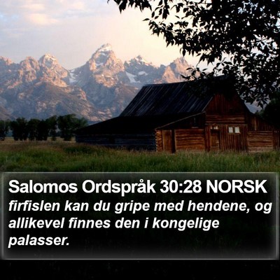 Salomos Ordspråk 30:28 NORSK Bible Verse Image
