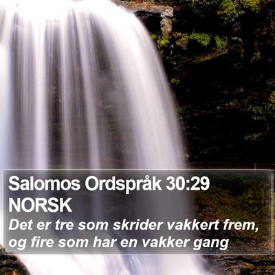 Salomos Ordspråk 30:29 NORSK Bible Verse Image