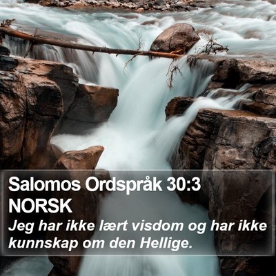 Salomos Ordspråk 30:3 NORSK Bible Verse Image