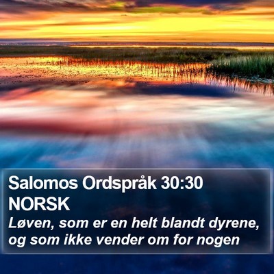 Salomos Ordspråk 30:30 NORSK Bible Verse Image