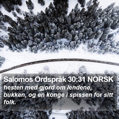 Salomos Ordspråk 30:31 NORSK Bible Verse Image
