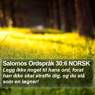 Salomos Ordspråk 30:6 NORSK Bible Verse Image