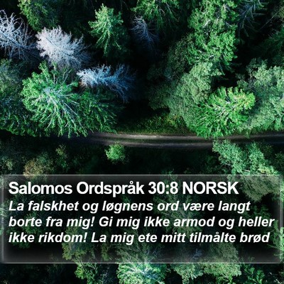 Salomos Ordspråk 30:8 NORSK Bible Verse Image