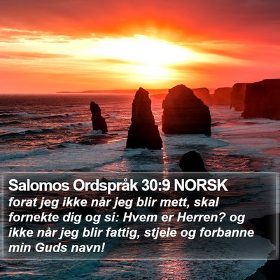 Salomos Ordspråk 30:9 NORSK Bible Verse Image