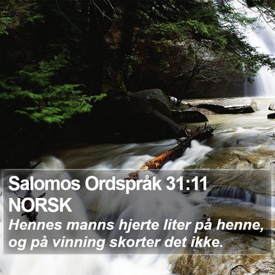 Salomos Ordspråk 31:11 NORSK Bible Verse Image