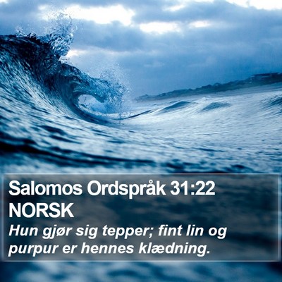 Salomos Ordspråk 31:22 NORSK Bible Verse Image