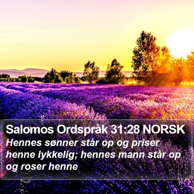Salomos Ordspråk 31:28 NORSK Bible Verse Image