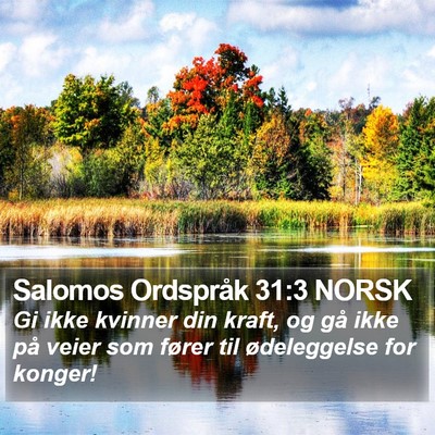 Salomos Ordspråk 31:3 NORSK Bible Verse Image