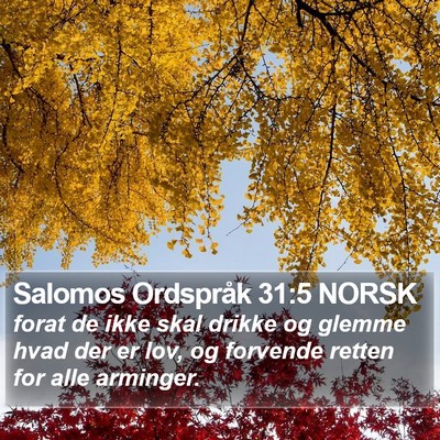 Salomos Ordspråk 31:5 NORSK Bible Verse Image