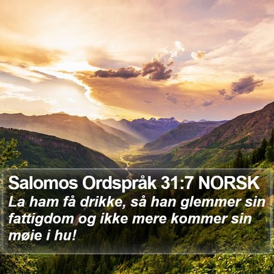 Salomos Ordspråk 31:7 NORSK Bible Verse Image