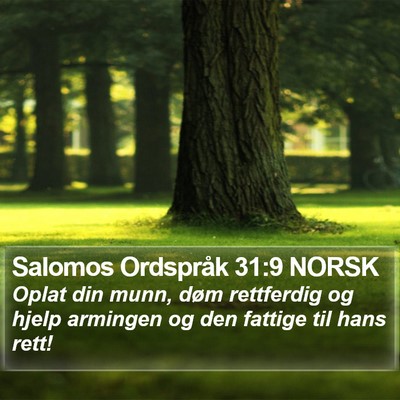 Salomos Ordspråk 31:9 NORSK Bible Verse Image