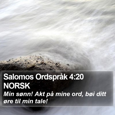 Salomos Ordspråk 4:20 NORSK Bible Verse Image