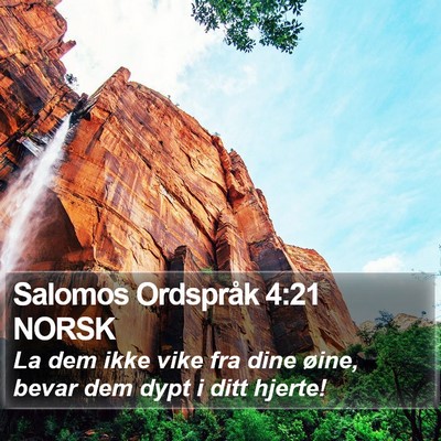 Salomos Ordspråk 4:21 NORSK Bible Verse Image