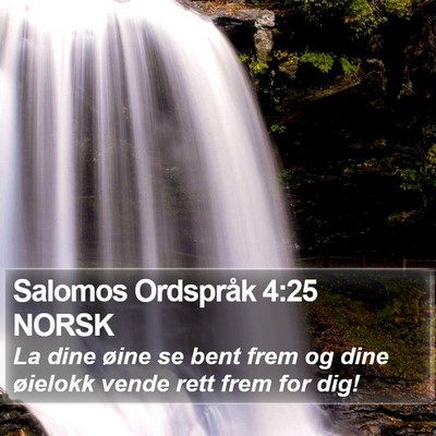 Salomos Ordspråk 4:25 NORSK Bible Verse Image