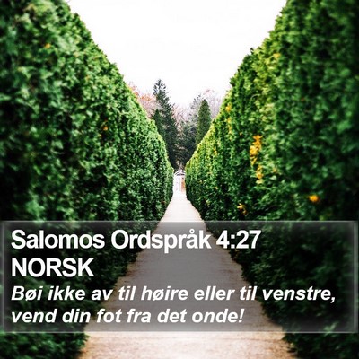 Salomos Ordspråk 4:27 NORSK Bible Verse Image