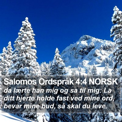 Salomos Ordspråk 4:4 NORSK Bible Verse Image