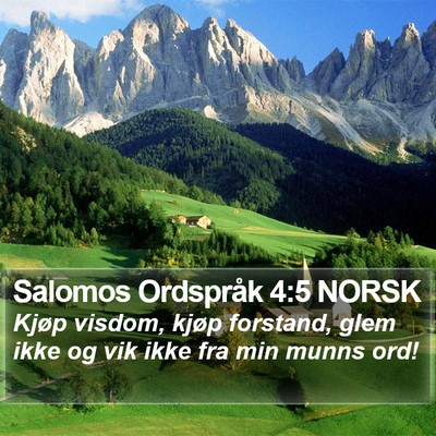 Salomos Ordspråk 4:5 NORSK Bible Verse Image