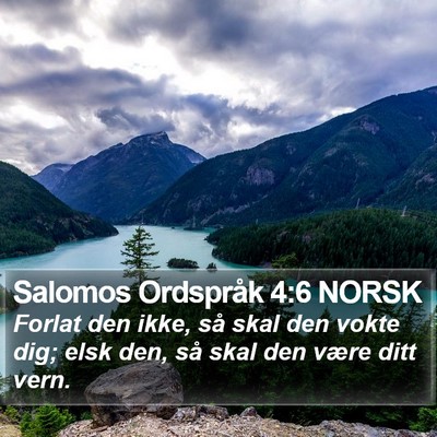 Salomos Ordspråk 4:6 NORSK Bible Verse Image