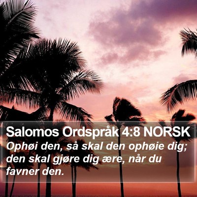 Salomos Ordspråk 4:8 NORSK Bible Verse Image
