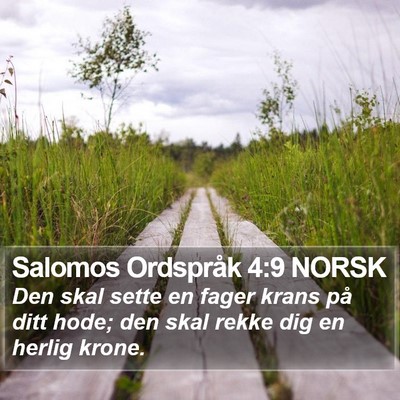 Salomos Ordspråk 4:9 NORSK Bible Verse Image