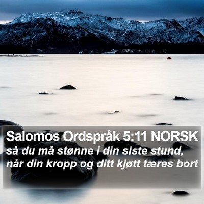Salomos Ordspråk 5:11 NORSK Bible Verse Image