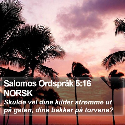 Salomos Ordspråk 5:16 NORSK Bible Verse Image