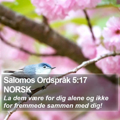 Salomos Ordspråk 5:17 NORSK Bible Verse Image