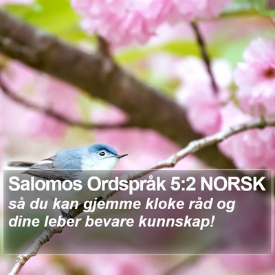 Salomos Ordspråk 5:2 NORSK Bible Verse Image