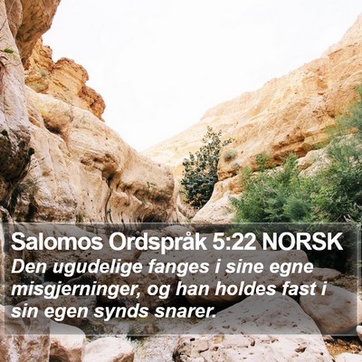 Salomos Ordspråk 5:22 NORSK Bible Verse Image